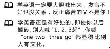 娱乐吃瓜经典语录大全